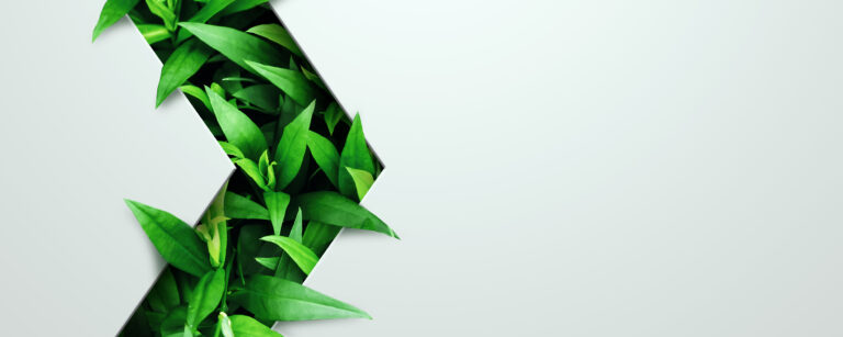 Nachhaltigkeitskonzept, Mauer mit einem Pfeil nach rechts, mit grünen Blätteren